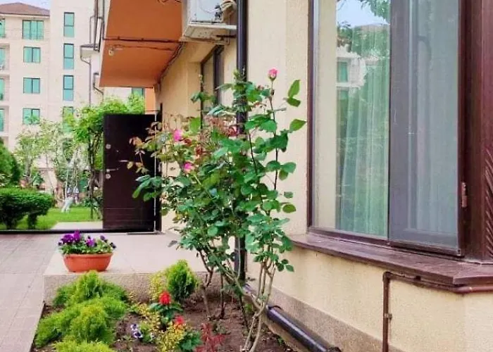 Location In Sunny Amber Apartment